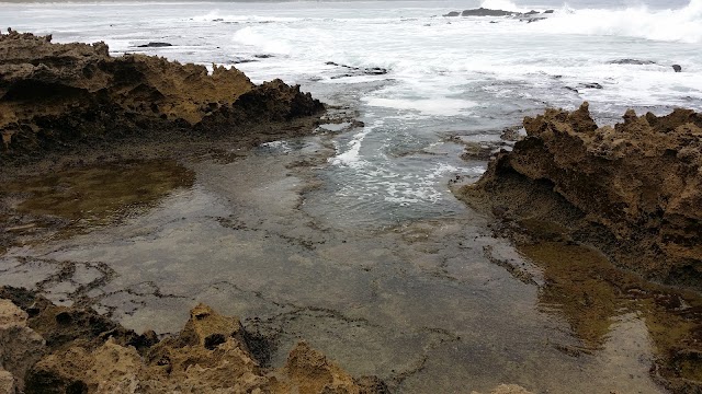 Gericke's Point
