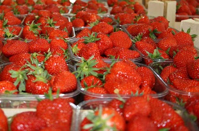 Photos of 'T Fruithuis