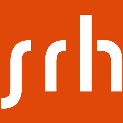 SRH Dresden School of Management (DSM) logo