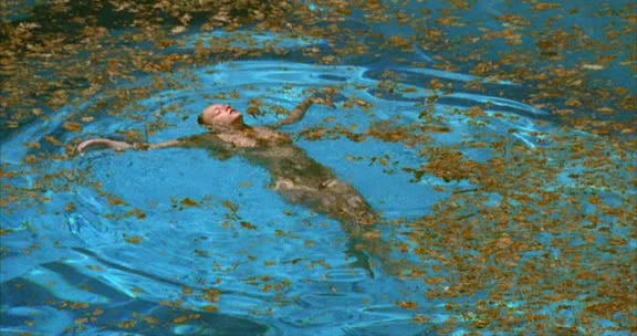 Xem Phim Hồ Bơi Kinh Hoàng cấm trẻ em - Swimming Pool (2003) - online truc tuyen vietsub mien phi hinh anh 1