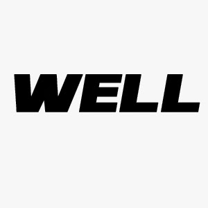 [Well] Review du MB06 Well-logo