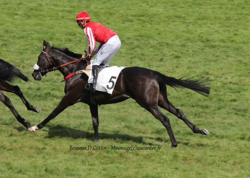 Photos Auteuil 7-06-2015 Journée Grande Course de Haies - Page 3 IMG_1725