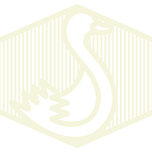Canard Street Lille logo