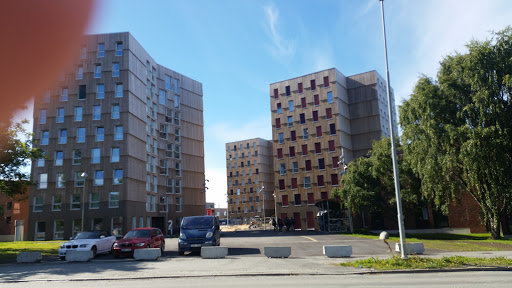 Bunnpris Moholt Studentby