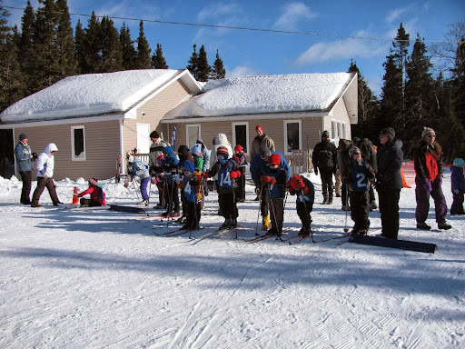 Нордик ски