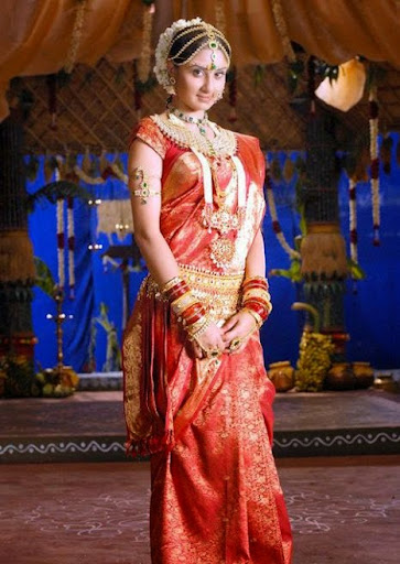 Bhanu Sri Mehra Photos