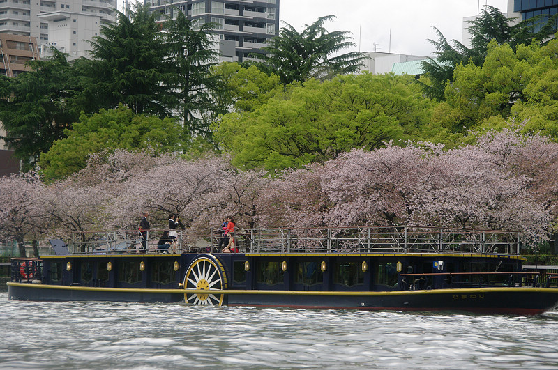日本行