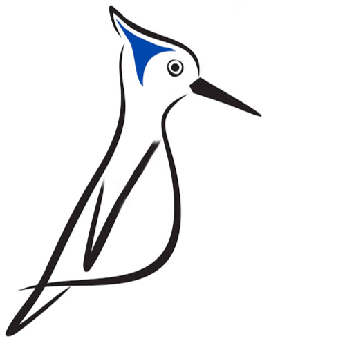 Bird's Eye Hue Boutique logo