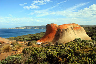 Kangaroo Island: naturaleza en estado puro - AUSTRALIA: EL OTRO LADO DEL MUNDO (16)