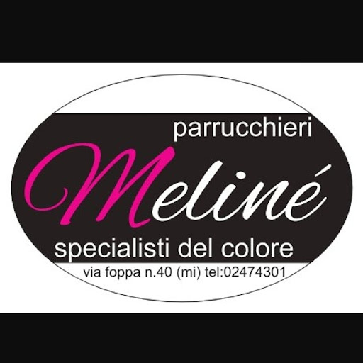 Melinè parrucchieri specialisti del colore logo