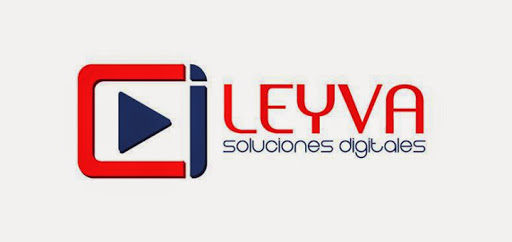 LEYVA SOLUCIONES DIGITALES SA DE CV, Calle 3-A Sur 4118, Huexotitla, 72534 Puebla, Pue., México, Asesor audiovisual | PUE