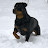 Nate Myers avatar image