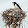 Sarah Morehouse Sarah Morehouse's profile photo