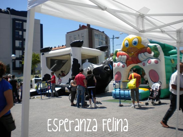 Esperanza Felina en la fiesta IBAIONDOG - Página 2 DSCN5078