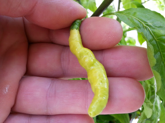 20140911_132429.jpg