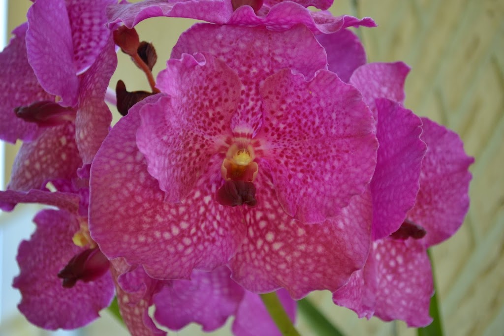 DSC_0003.JPG