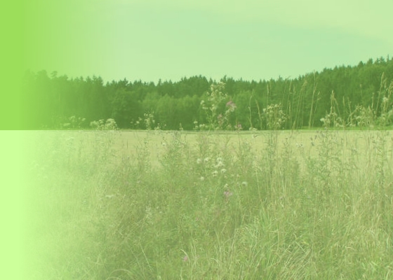 Cover photo