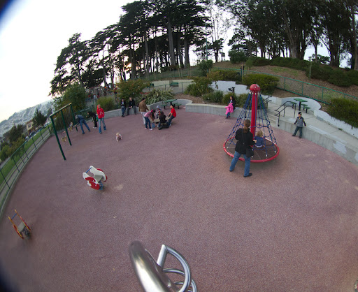 Holly Park