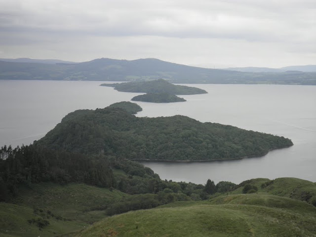 ESCOCIA 2012: LAGOS, MONTAÑAS Y CASTILLOS - Blogs de Reino Unido - EXPLORANDO EL LAGO LOMOND. ENTRE LAS HIGHLANDS Y LAS LOWLANDS (16)