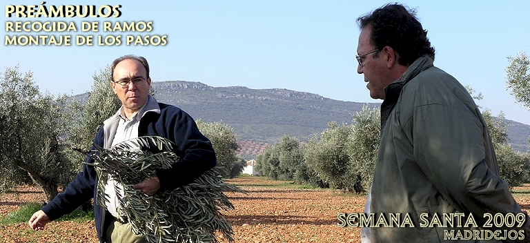 PREMBULOS: Recogida de los Ramos por la Cofrada de San Juan de Jerusaln, en el Olivar de los Isidrillos en la Casa de los Canastos. Montaje de los Pasos en la Ermita de la Caridad