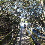 Salt Pan Creek boardwalk (77296)