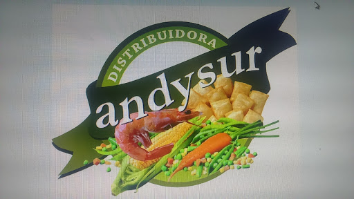 Andysur Alimentos Limitada, Ercilla 2255, Temuco, IX Región, Chile, Tienda de alimentos | Araucanía