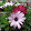 Matt Redding Matt Redding's profile photo