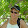 Lonnie Almy Lonnie Almy's profile photo
