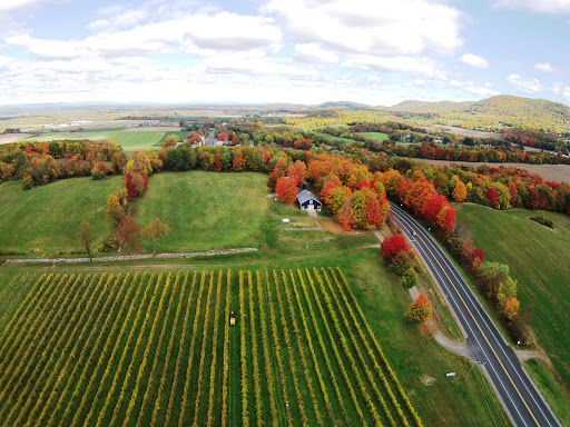 Victory View Vineyard