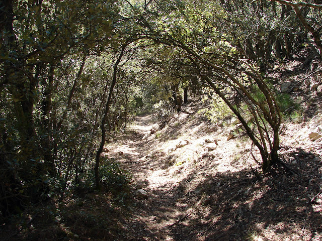 Senderismo Castell de Cabres - El Boixar - Coratxà