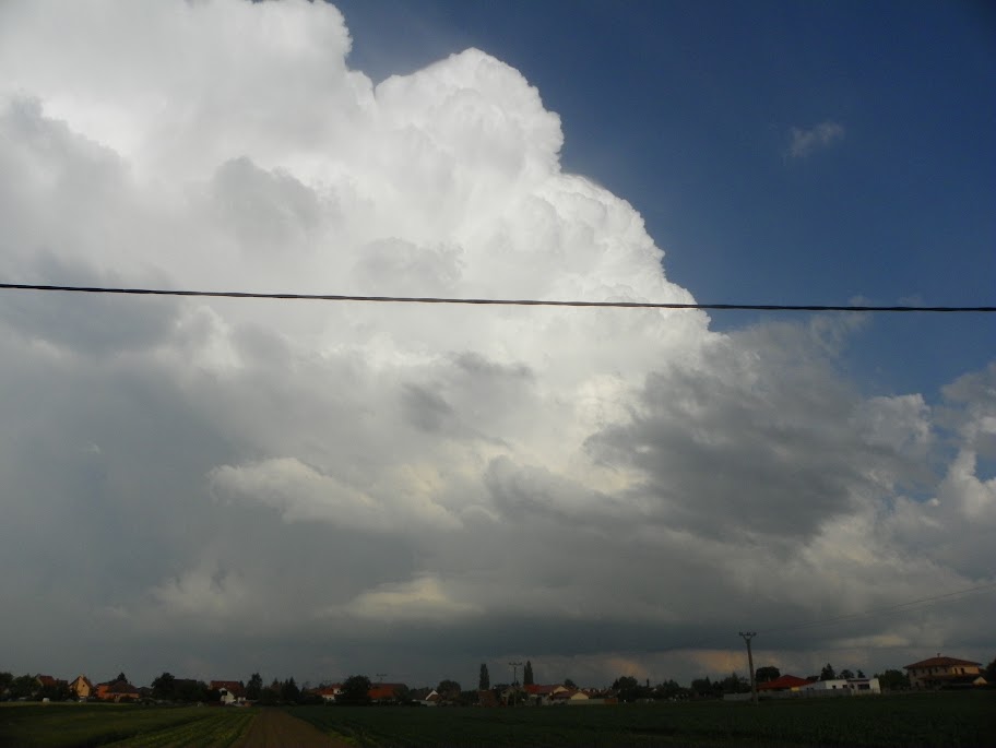 beillesztett kép
