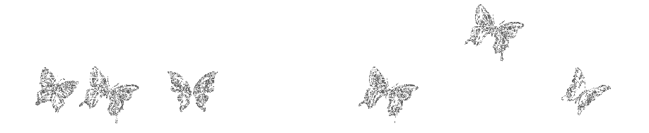 FARFALLE.gif