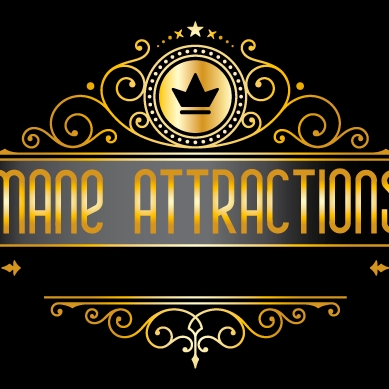 Mane Attractions Hair Weaving Salon logo