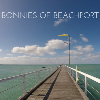 Bonnies of Beachport