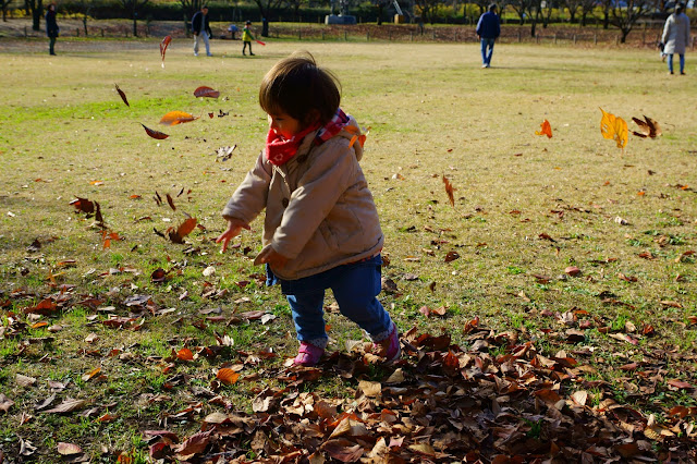 都市農業公園、落ち葉で遊ぶ