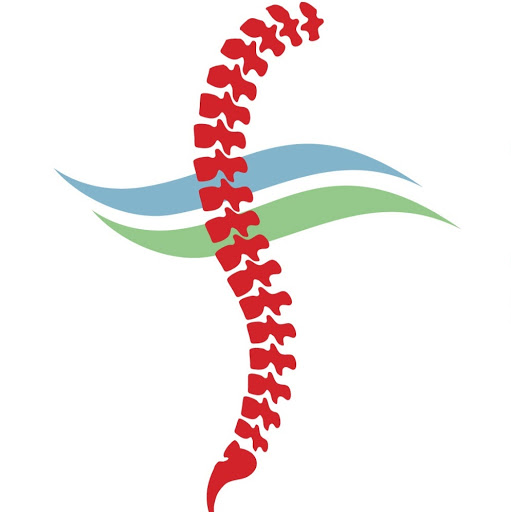Flavin Spinal & Sports Injury Clinic logo