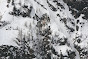Avalanche Haute Tarentaise, secteur Tignes, Rocher Blanc - Photo 2 - © Duclos Alain