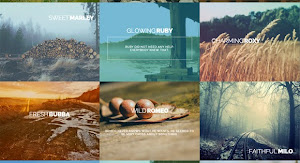 Jquery Subtle Hover Effects 