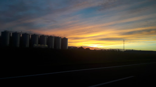 Immagine principale di CAVIRO Soc. Coop. Agr.