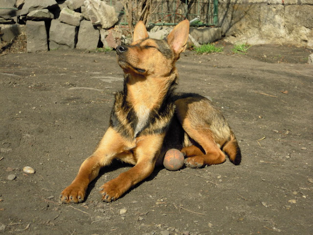 DSCN2147.JPG