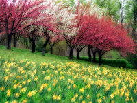 Featured image of post The Best 11 Fundo De Paisagem Para Montagem De Fotos
