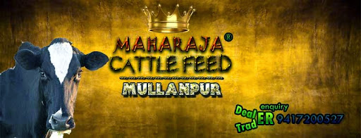 Maharaja Cattle Feed & Fnagri, Plot number 4, Industrial Area, Mullanpur, Mullanpur Dakha, Punjab 141102, Mullanpur, Mullanpur Mandi, Punjab 141102, Punjab 141101, India, Animal_Feed_Shop, state PB