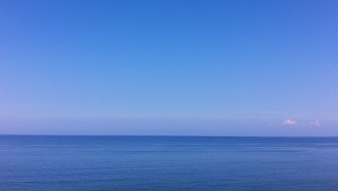 Cover photo