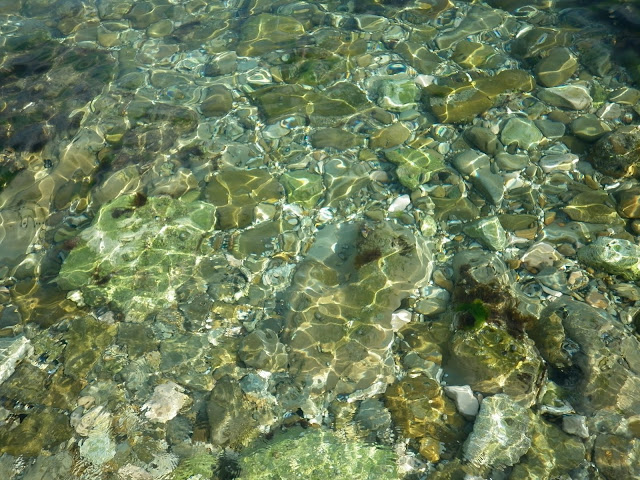 P1000865.JPG