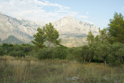 Baško Polje