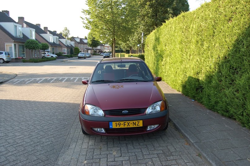 Afbeelding