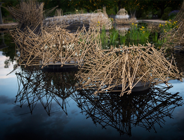 Bamboo Installations at Denver Botanic Gardens