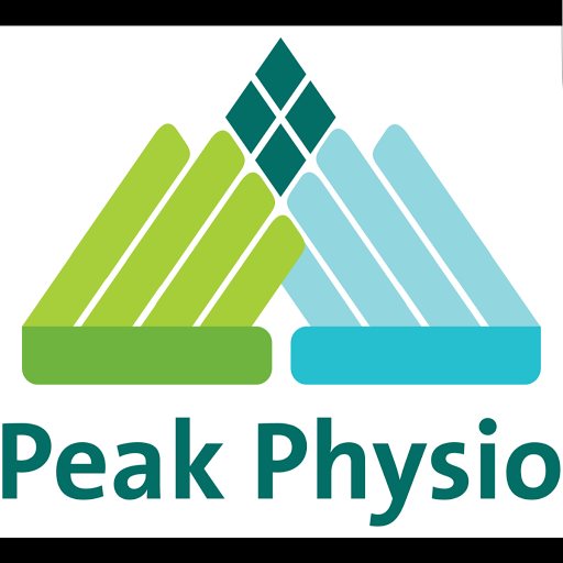 Peak Physio Ballsbridge logo