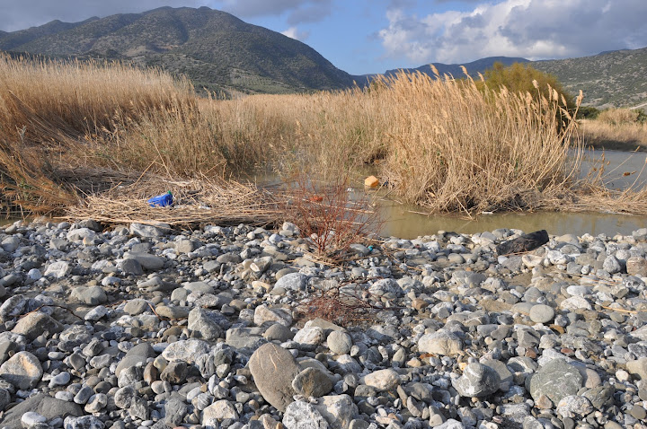 …about Cretan wetlands