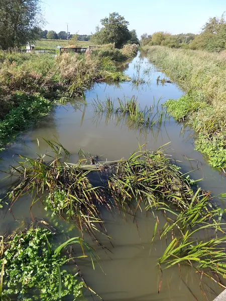 River Minsmere at Eastbridge